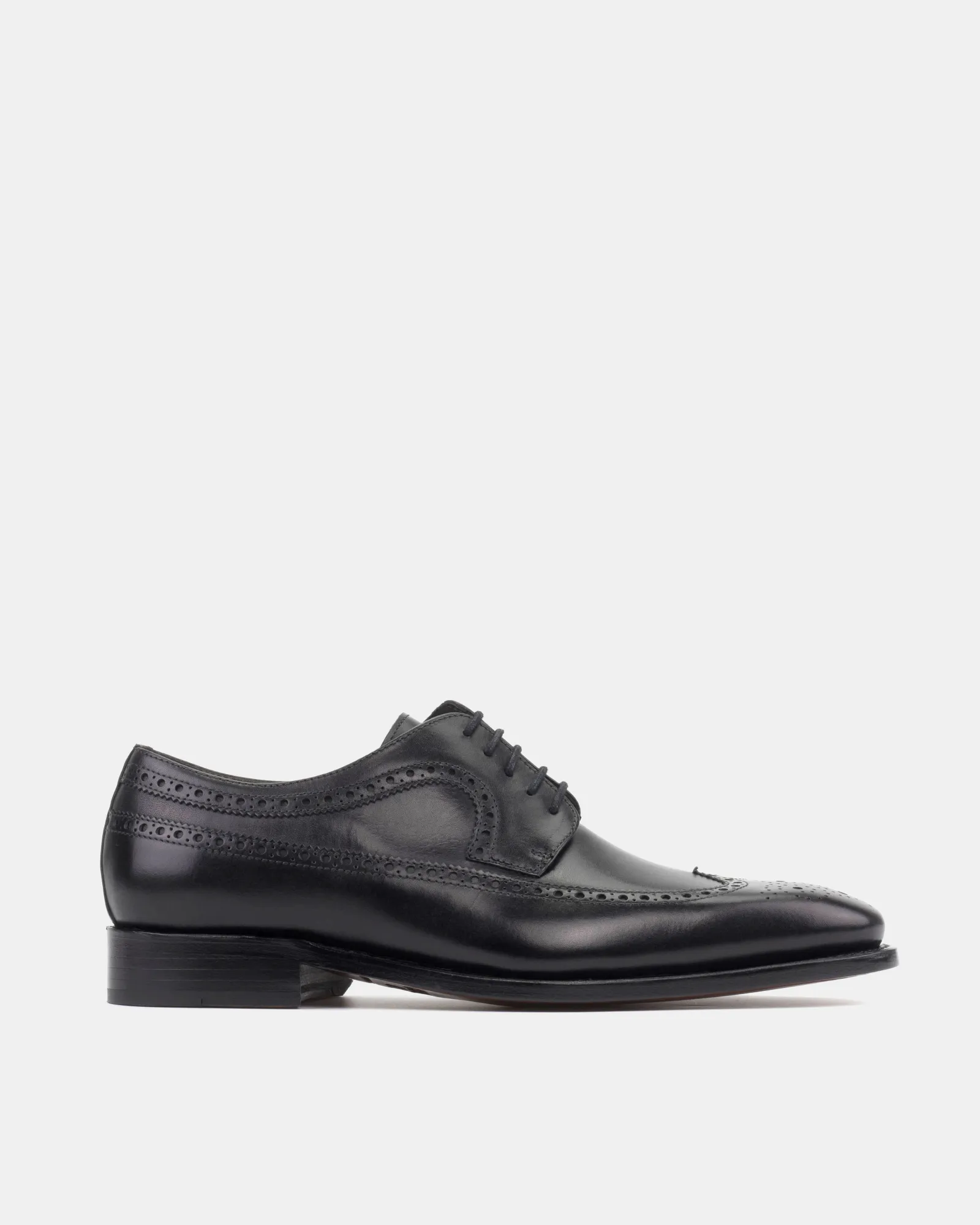 Always Sharp Collector Edition Alex Black Wingtip Derby - 722