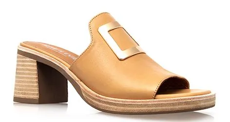 Aniseed  -  Slide  -  Camel