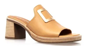 Aniseed  -  Slide  -  Camel
