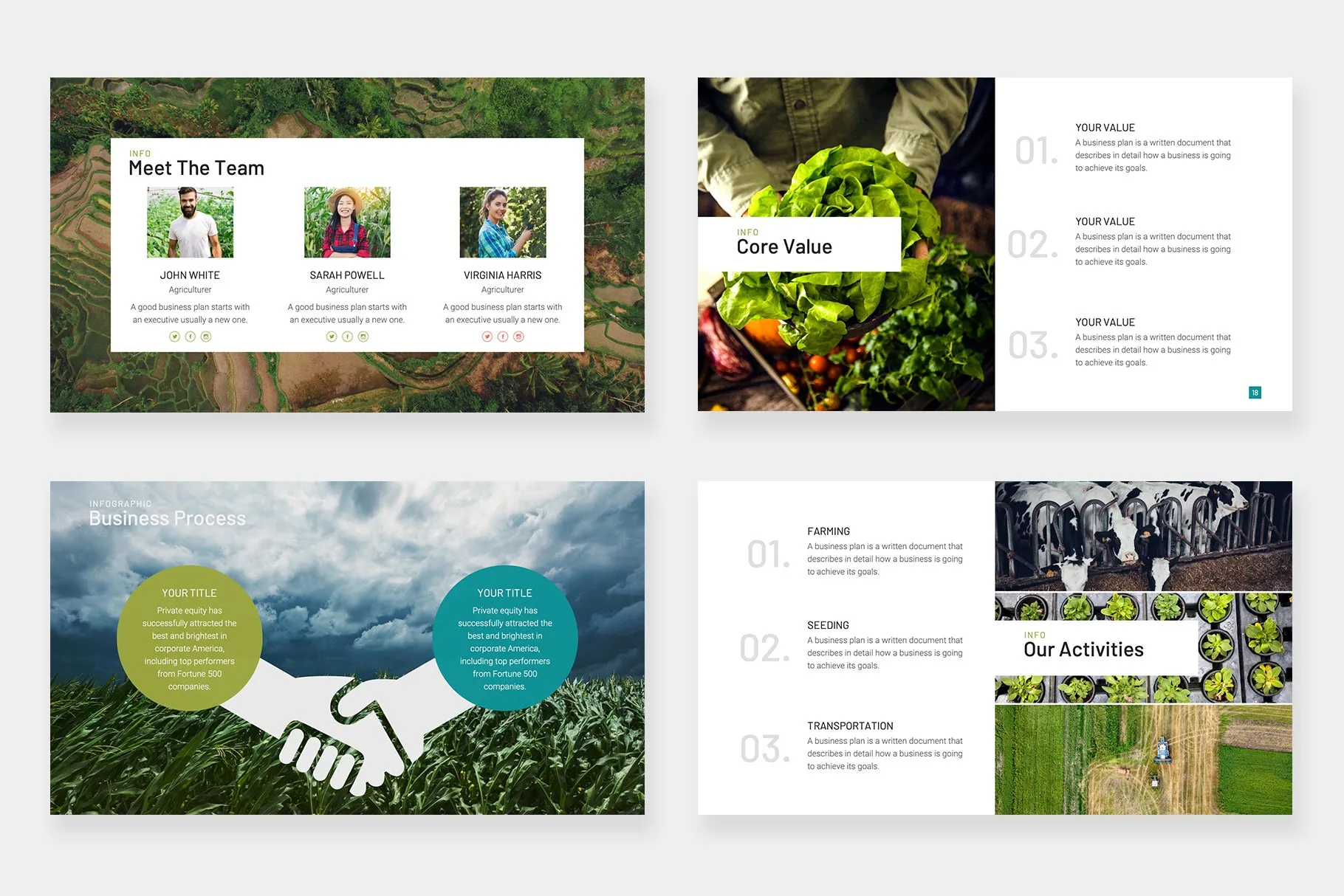 Bark Google Slides Template