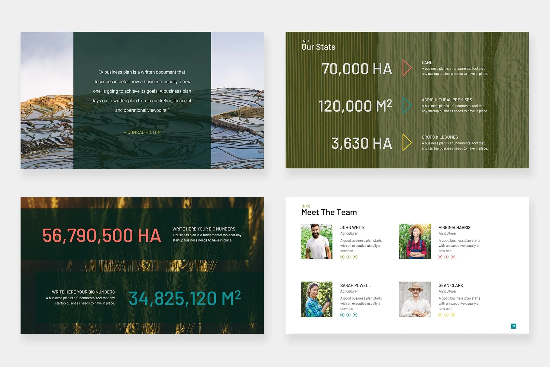 Bark Google Slides Template