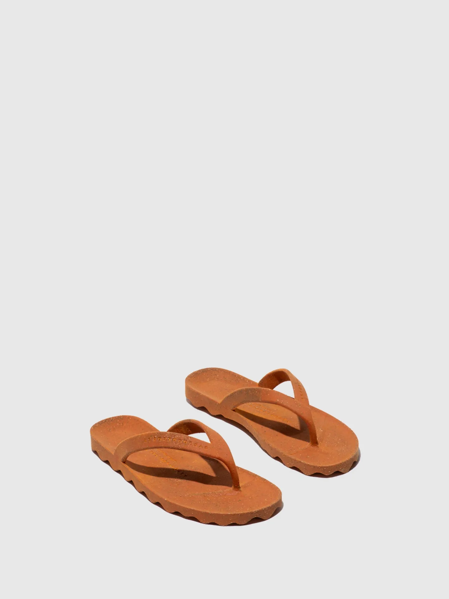 Beach Flip-Flops EARTH BRICK