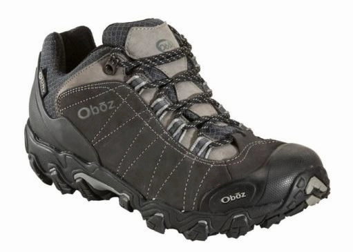 Adaptive Fit Technology Men's Bridger Low Trail Shoe
