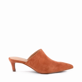 Energy Return Core Obsession in Rust