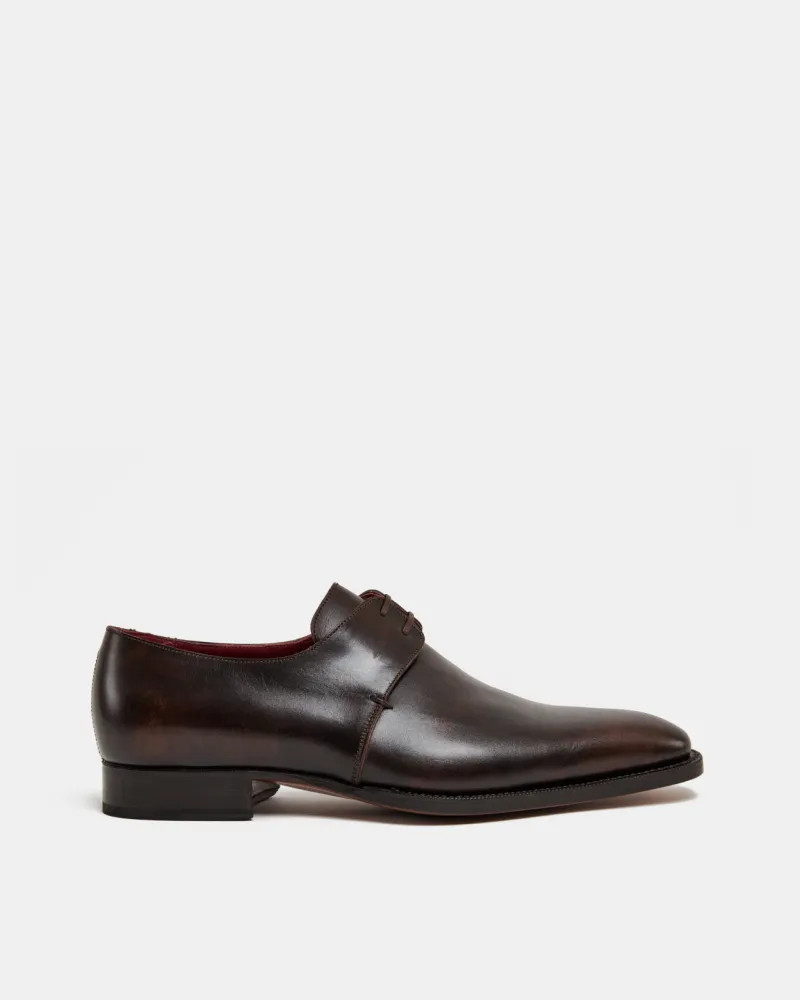 Brown Leather Derby Dress Shoe Monk Strap Style