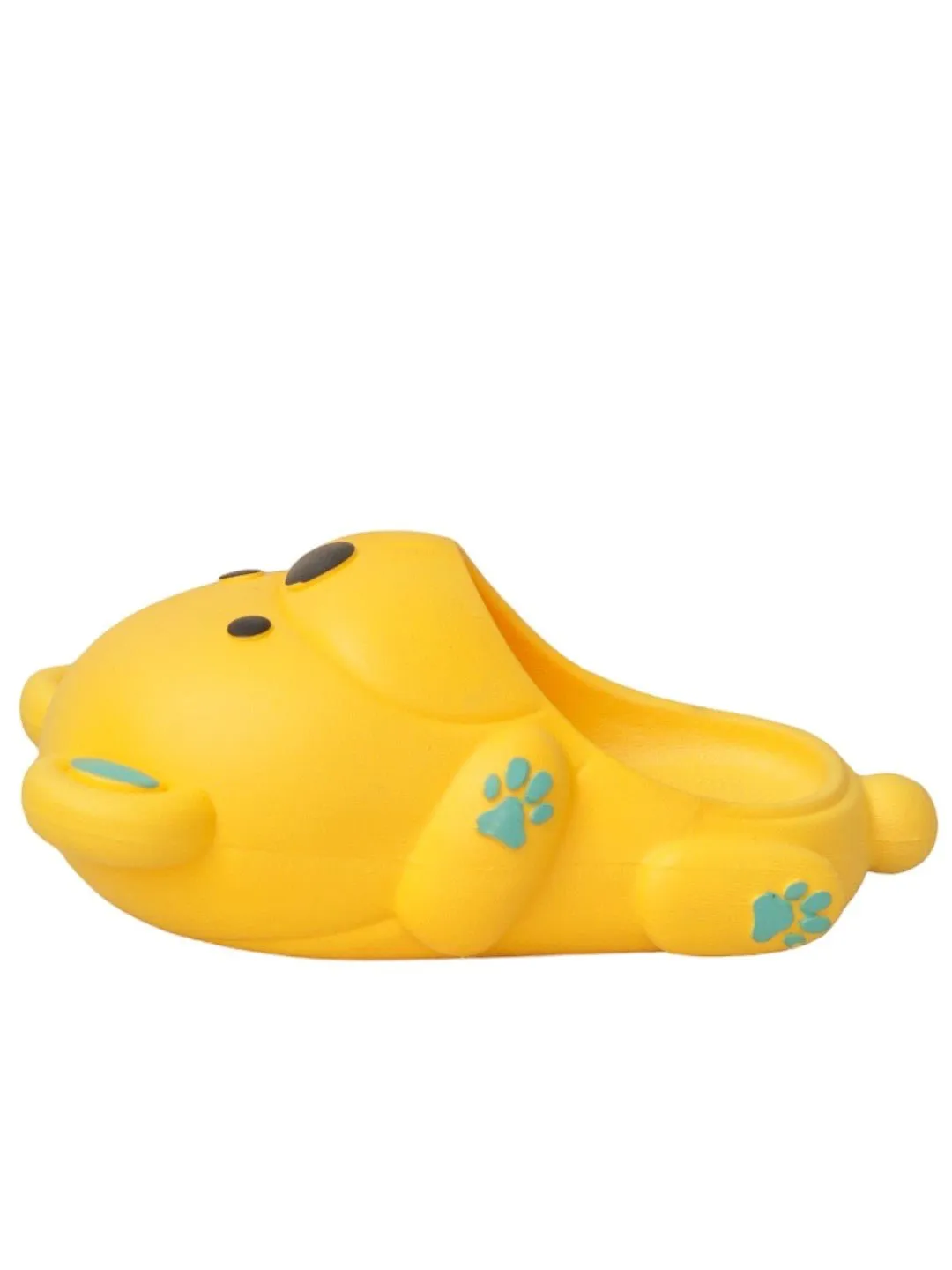 Cheerful Sunny Bear Slides for Boys