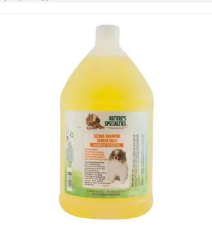 Citrus Concentrate Gallon