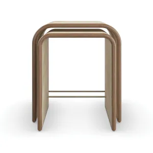 Delano Nesting End Table (Set of 2)