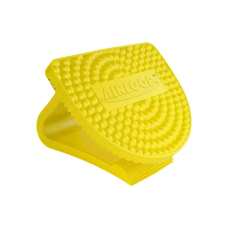 DEODORIZER/ Vectair/ Airloop Bowl Clip, Assorted Fragrances, each