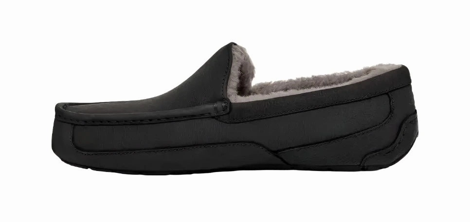 Eco Friendly Material Running essentials UGG ASCOT MEN'S