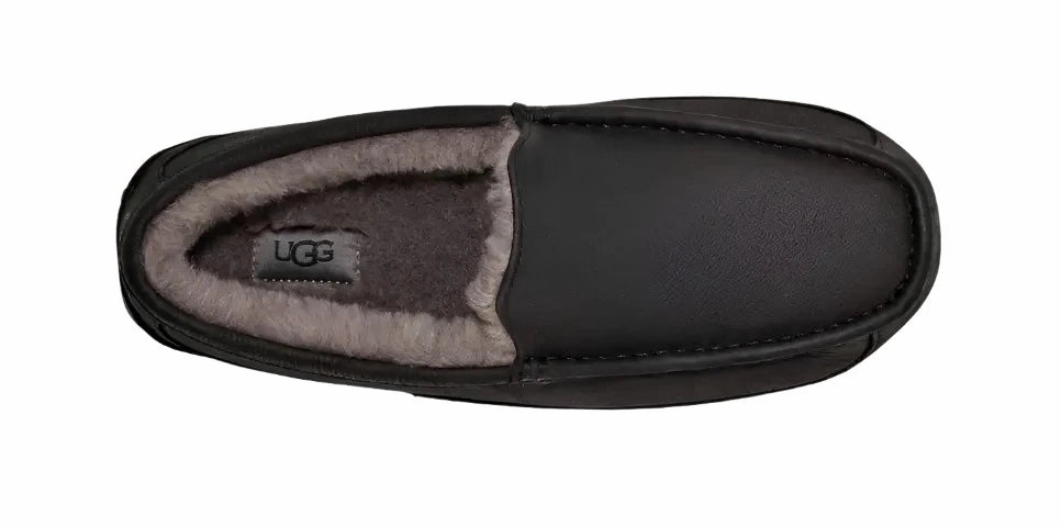 Ultra Cushion Padding Fair UGG ASCOT MEN'S