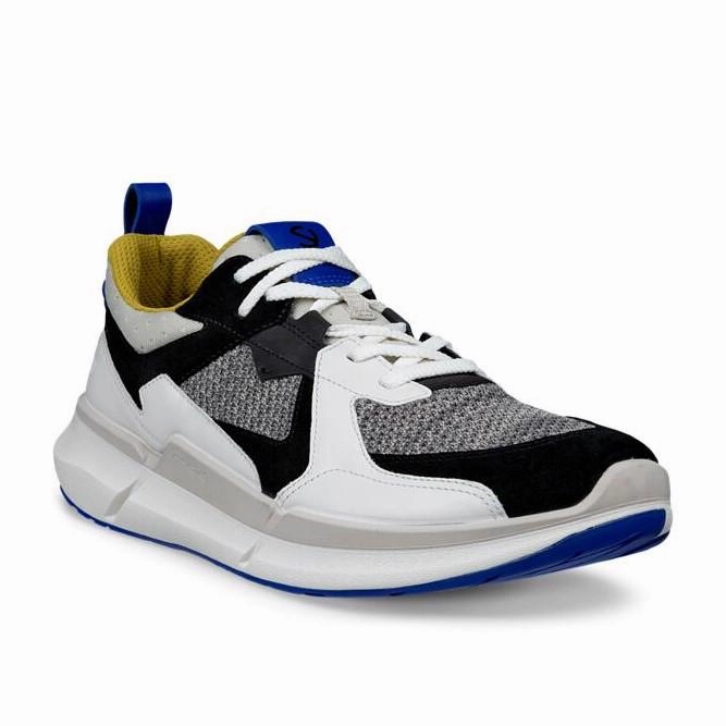 ECCO BIOM 2.2 MEN'S lining - type