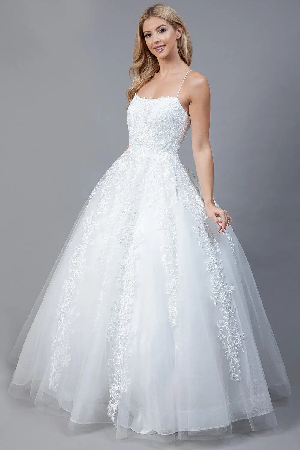 Embroidered Sleeveless Ball Gown by Amelia Couture BZ016