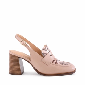 monochromatic Symphony