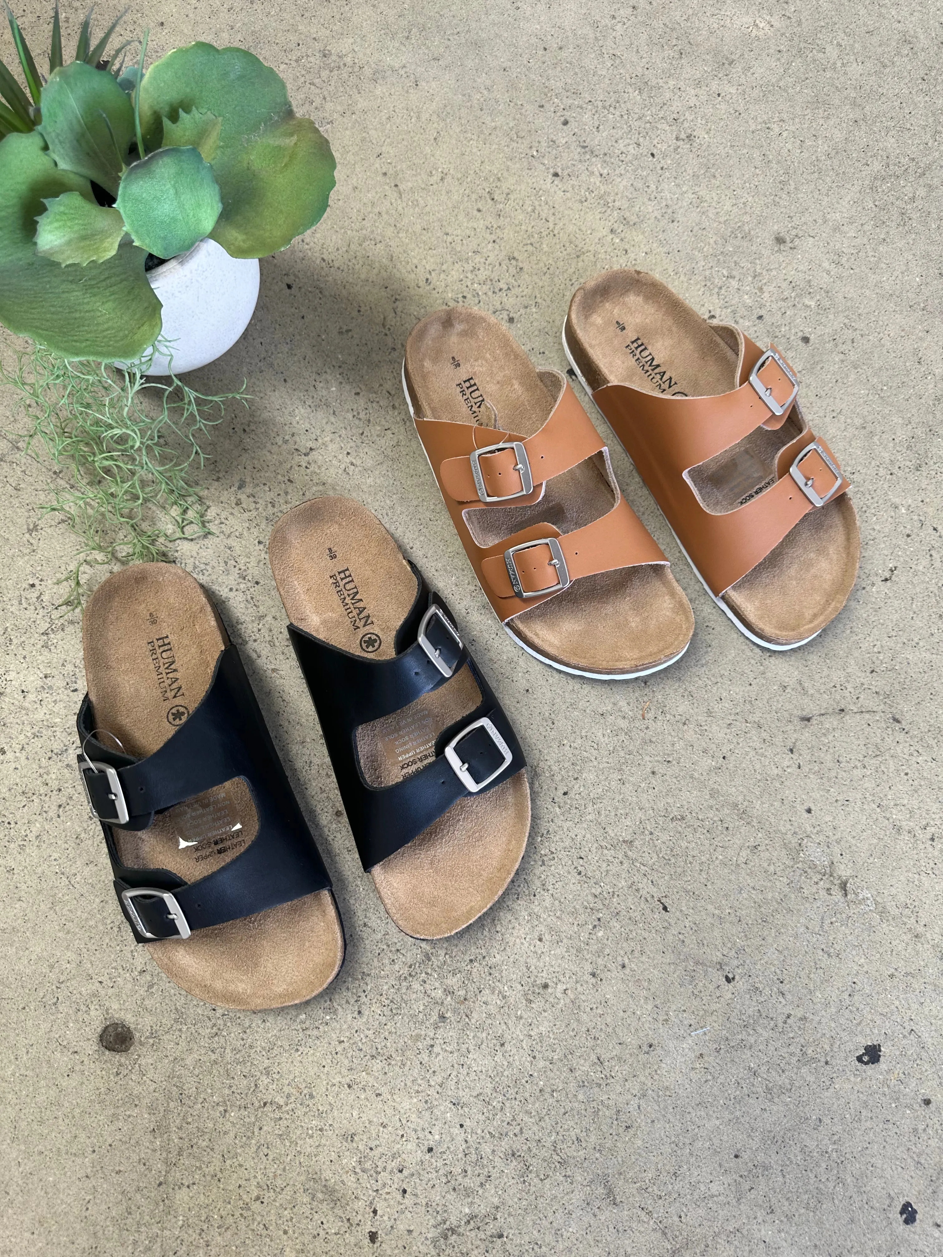 Lynx Slides Tan