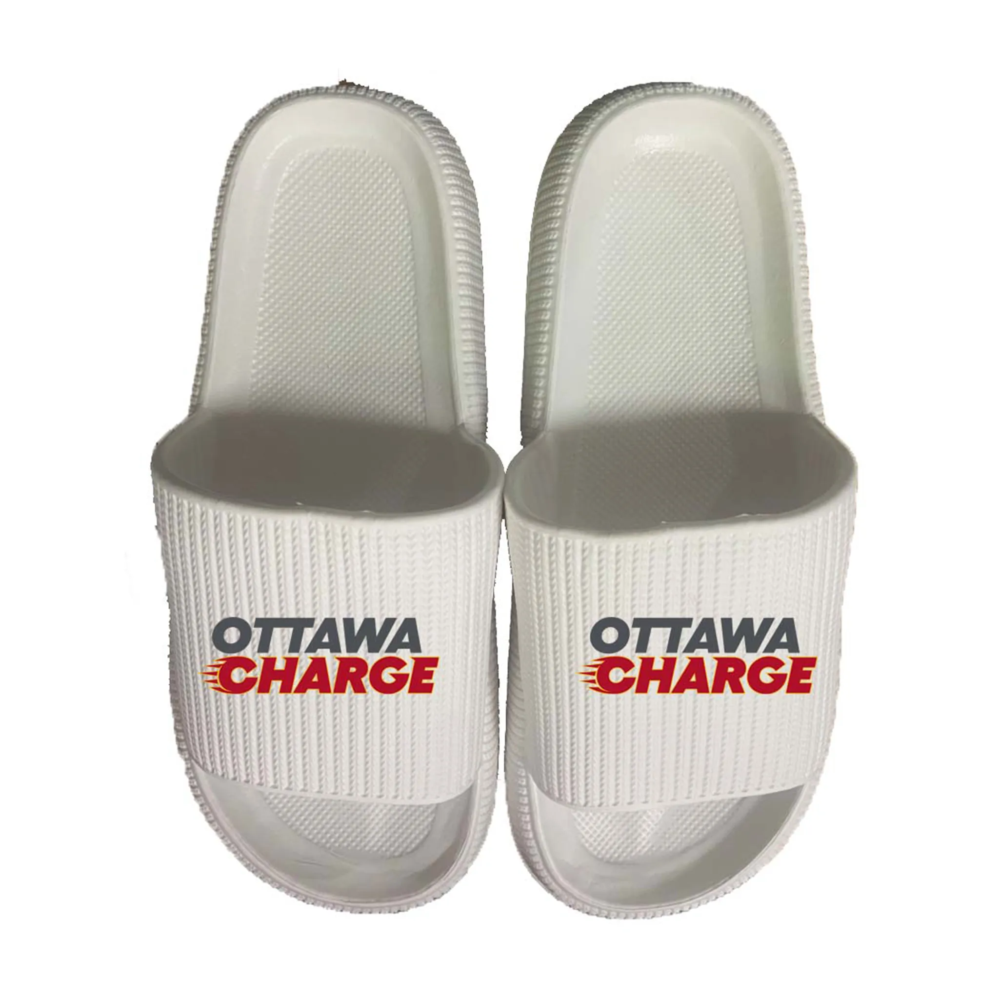 Ottawa Charge Team Slides