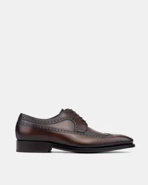Long Standing Urban Shade Alex Brown Wingtip Derby - 722