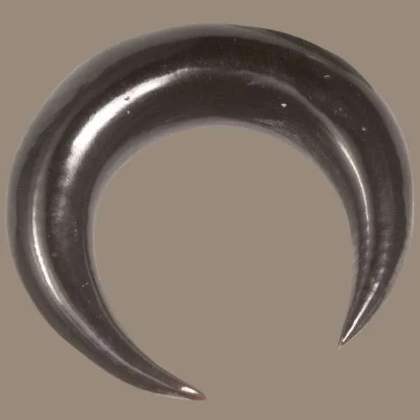 Round Hook Ear Stretchers