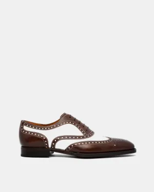 Urban Office Spectator Oxford Shoe in Brown and White