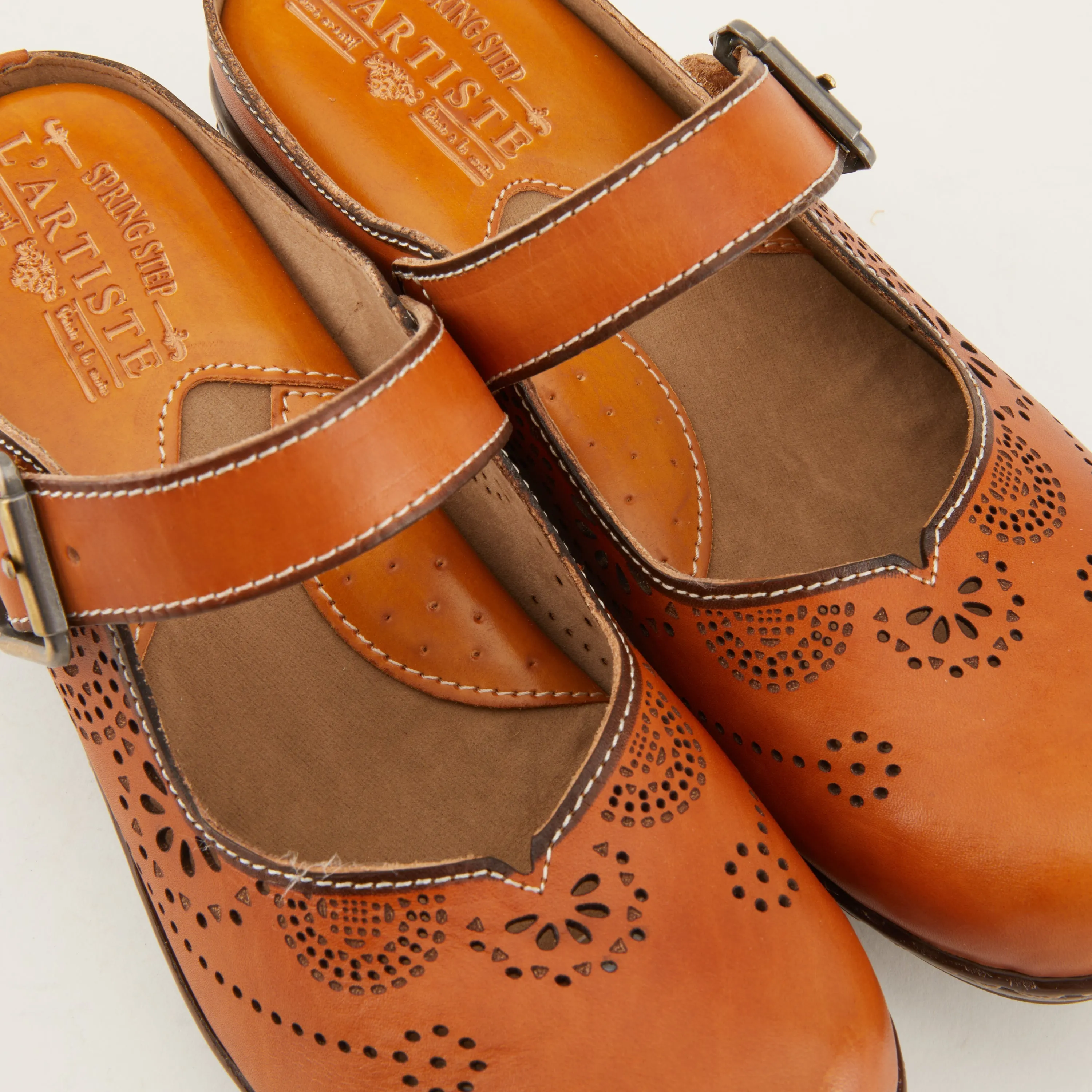 Spring Step Shoes  L'Artiste Aneria Women’s Hand Painted Leather Clogs