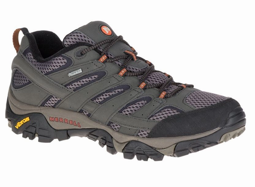 Men's Moab 2 GTX Low Shoe Appealing