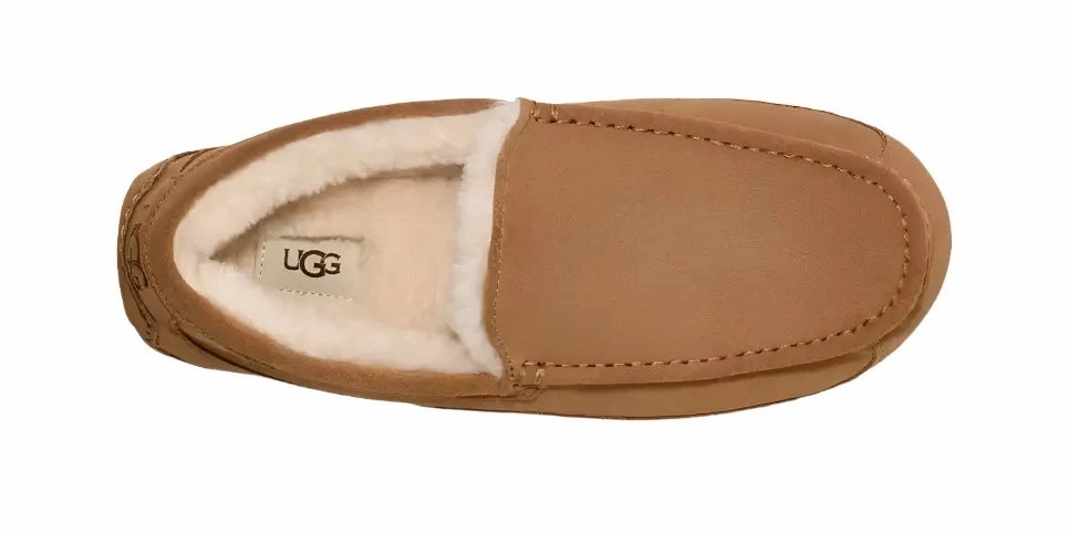 Elastic Lacing UGG ASCOT MEN'S