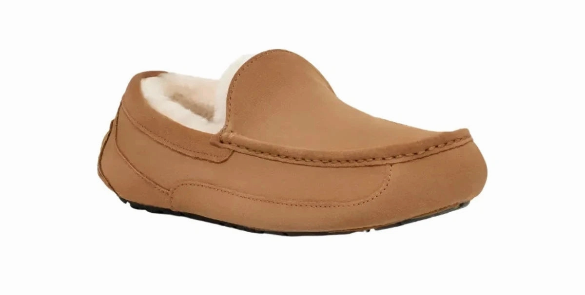 morning UGG ASCOT MEN'S