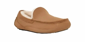 morning UGG ASCOT MEN'S