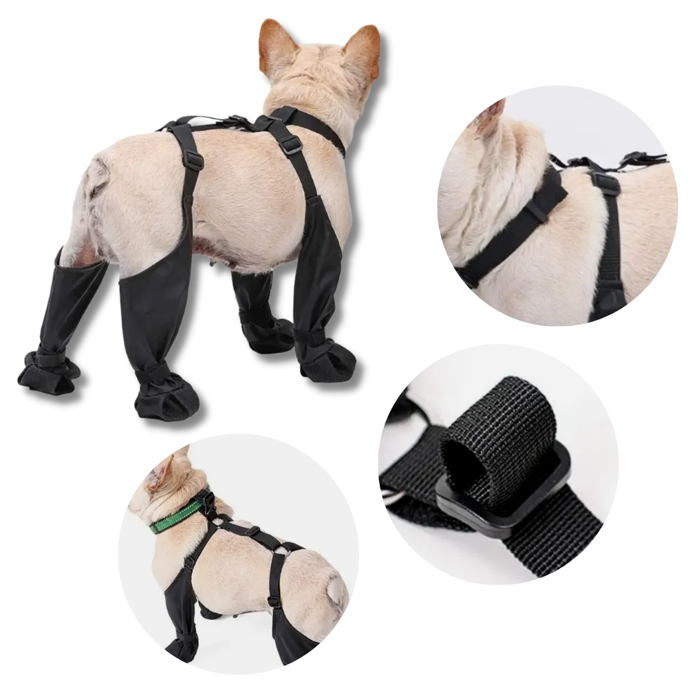 Waterproof Dog  Suspenders Boots