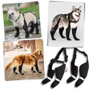 Waterproof Dog  Suspenders Boots
