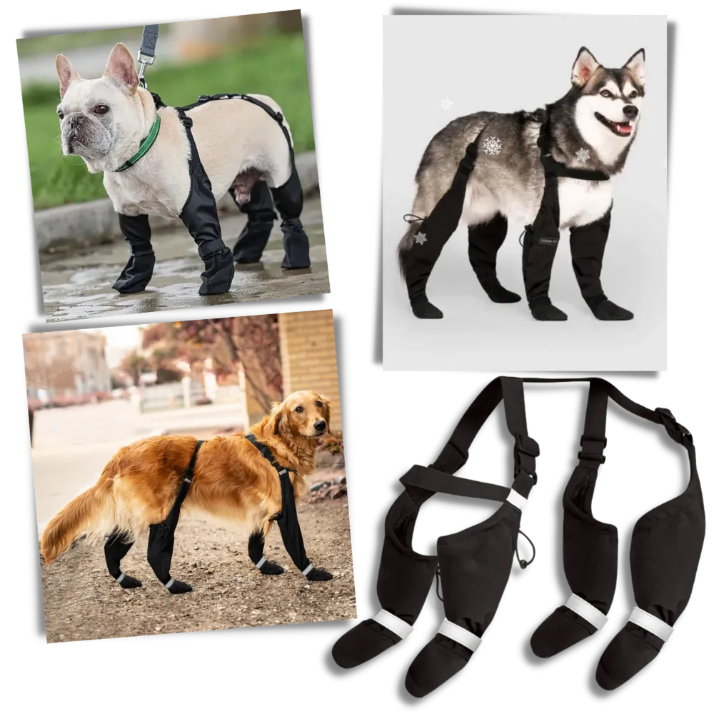 Waterproof Dog  Suspenders Boots